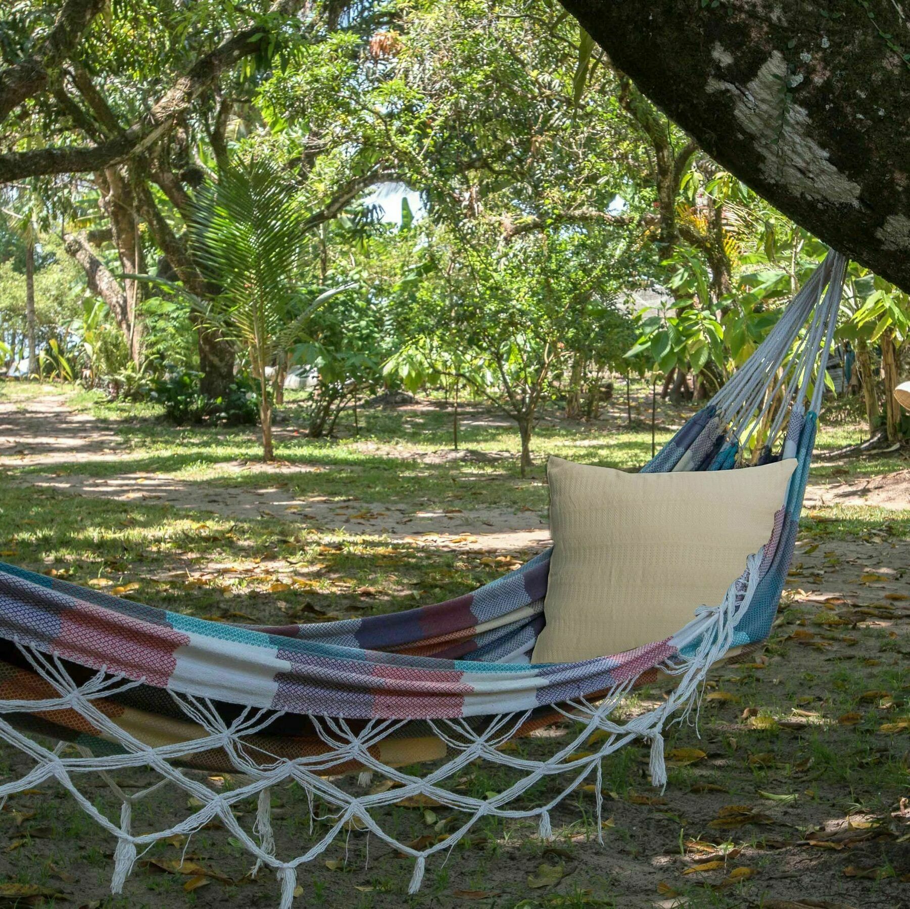 ホテル Htl Tubarao バーラ・グランデ エクステリア 写真